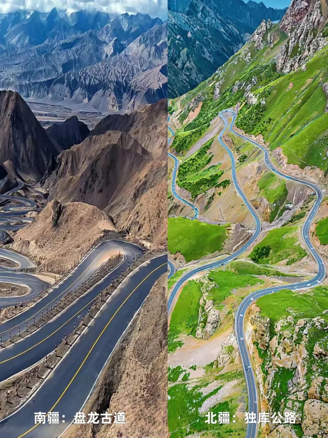 7🈷️-8🈷️来新疆|南北疆如何选择‼