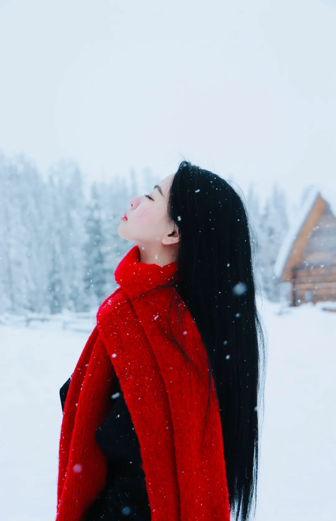 别人都有旅游搭子