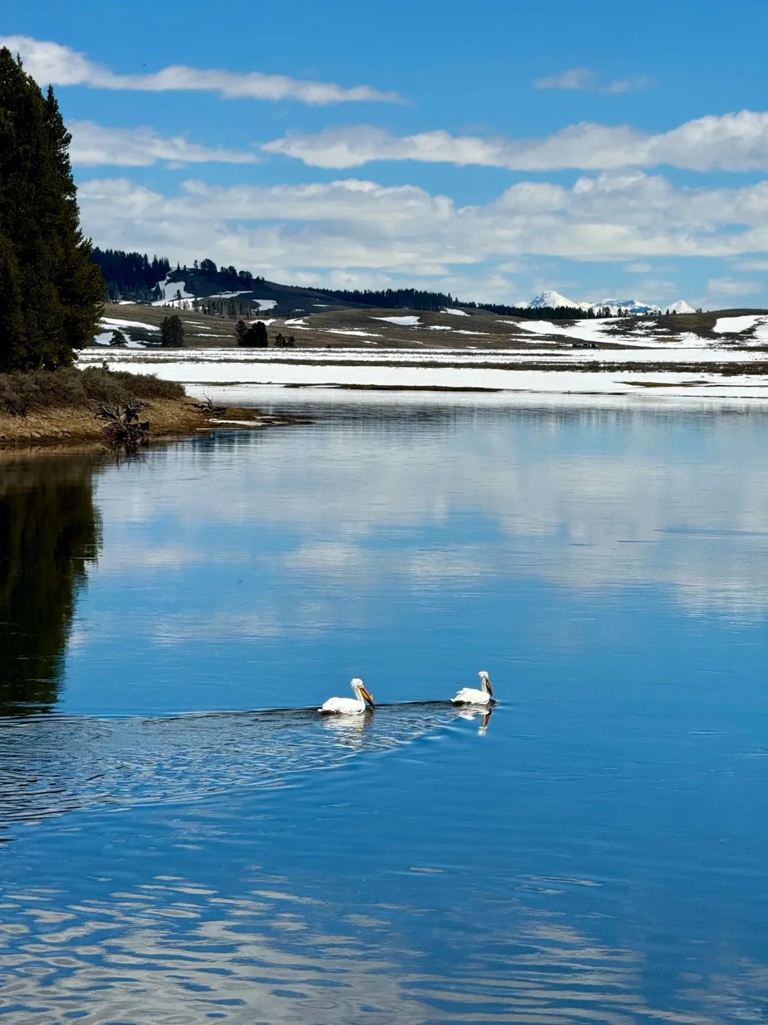 😲天呐!黄石国家公园的小众景点美到窒息