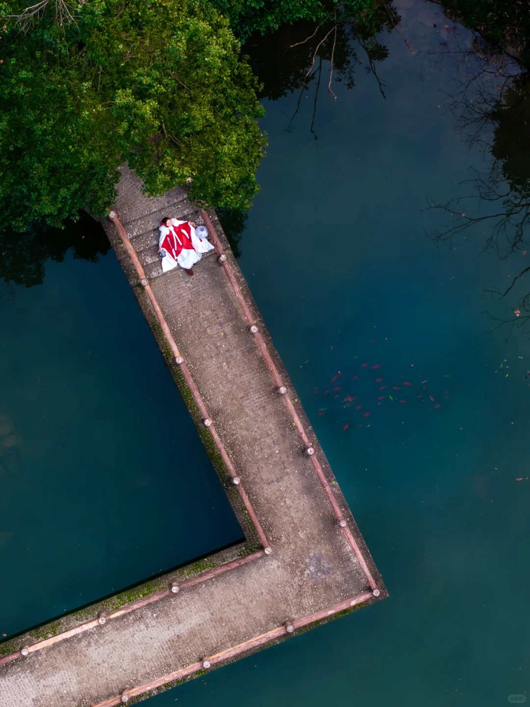 桐庐live到了梦幻仙境❗️