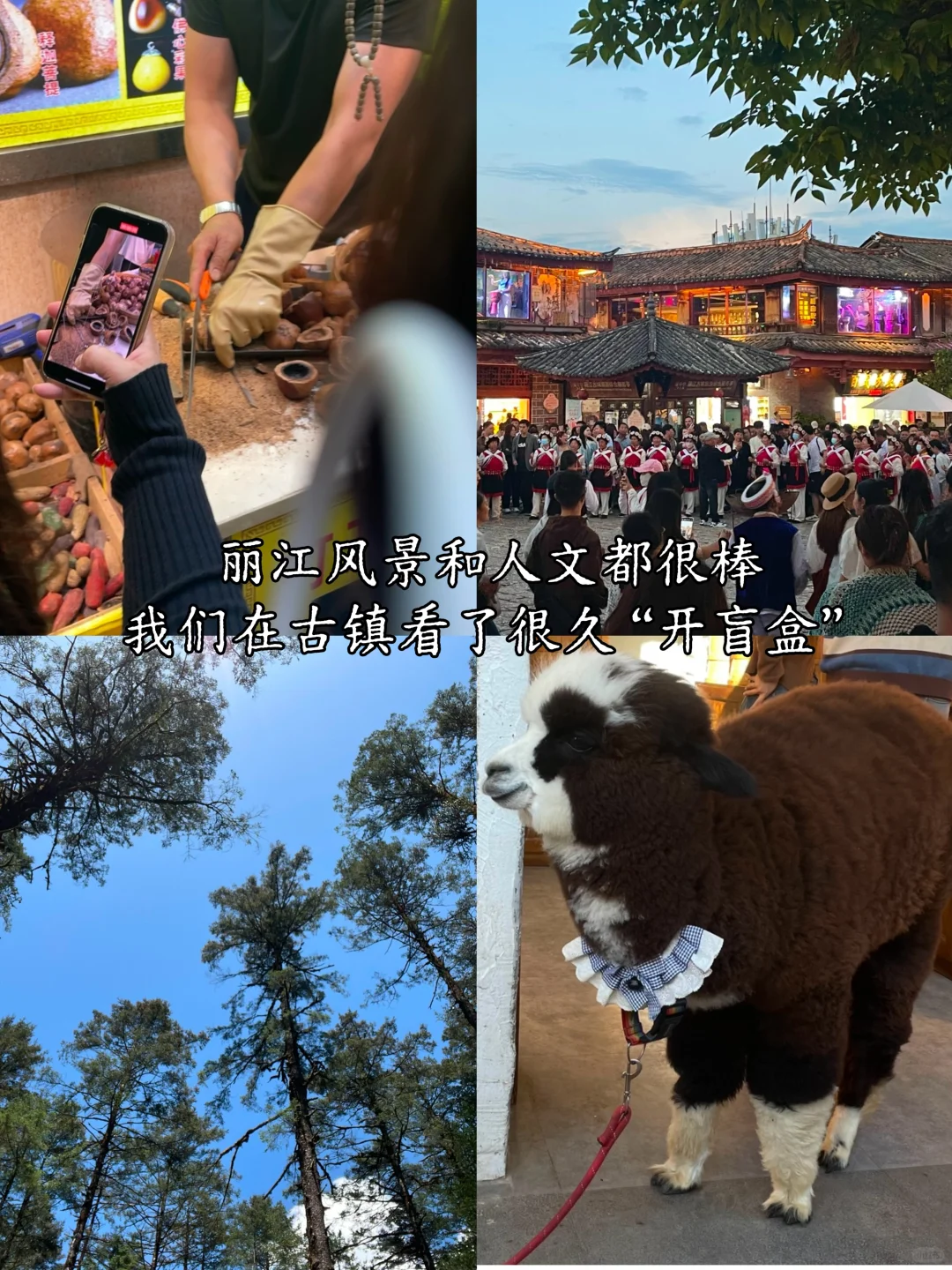 云南7天6夜旅游攻略丨昆明-丽江-大理