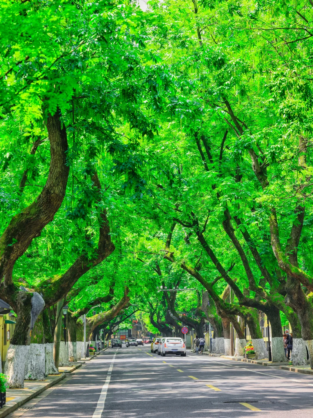 夏天来南京｜推荐你去这10个景点