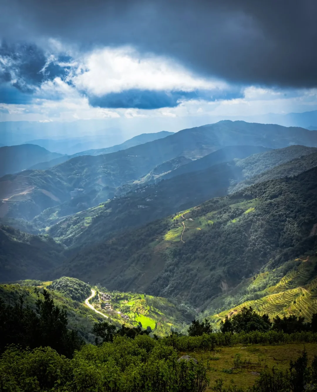 哀牢山—大雾四起 我在无人之处爱你❗️❗️