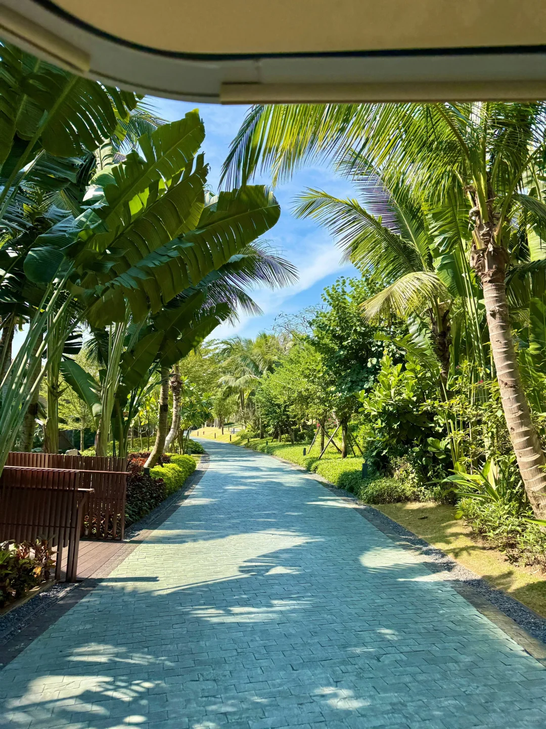 1.13📍三亚现状...在崩溃边缘😭