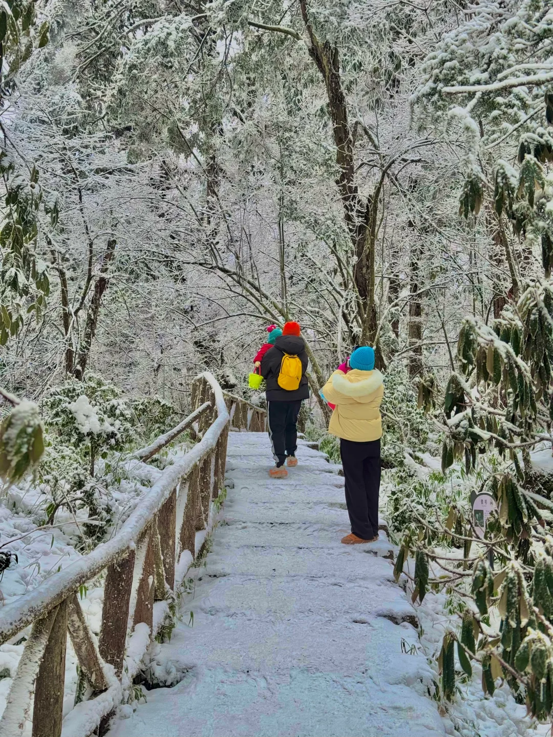 美到炸裂！真没去国外！！就在成都周边！！！