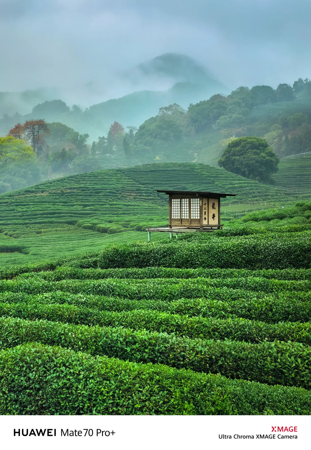 如果你来杭州，我不会让你去西湖‼️