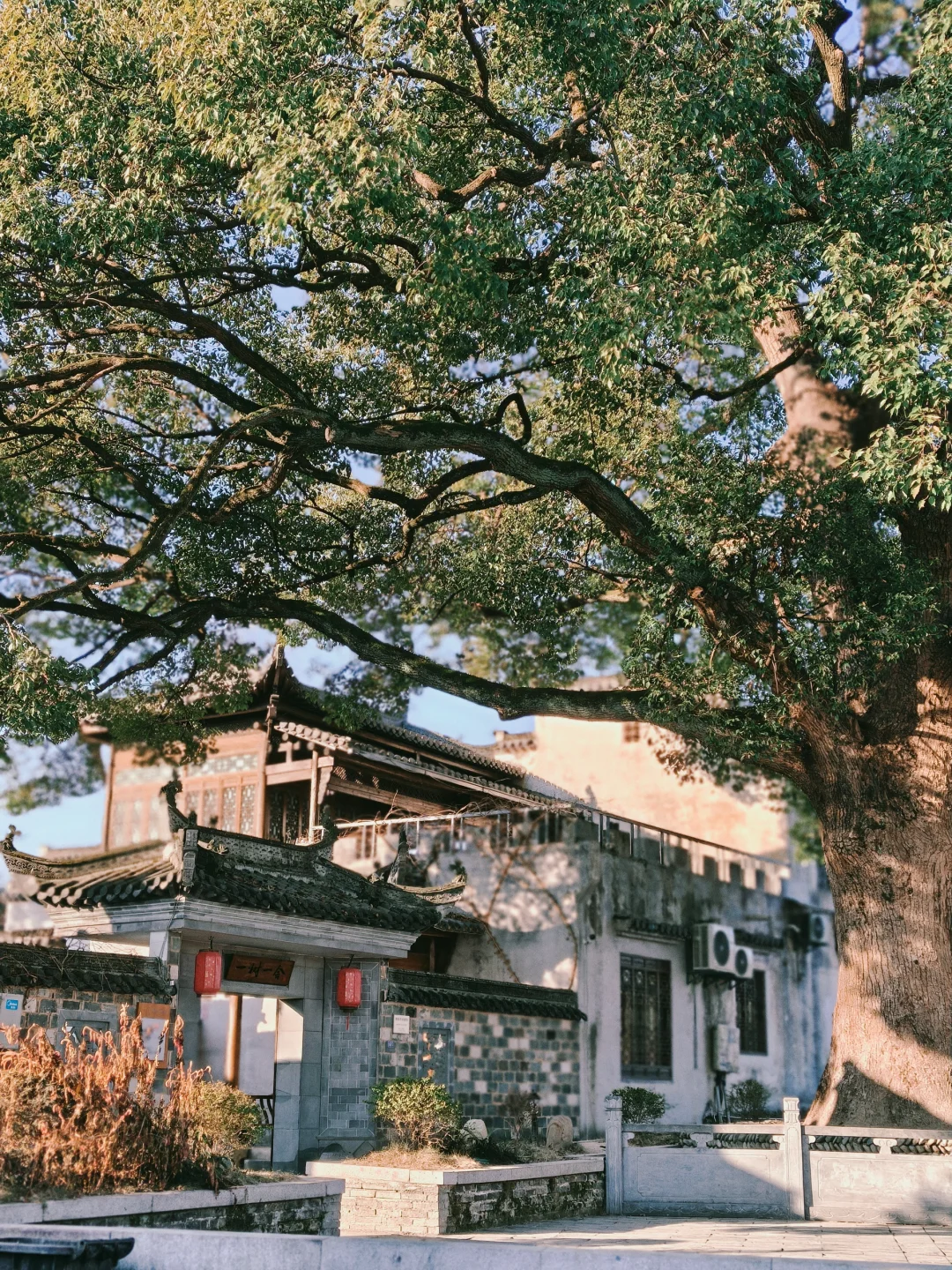 打卡冬日南屏景区