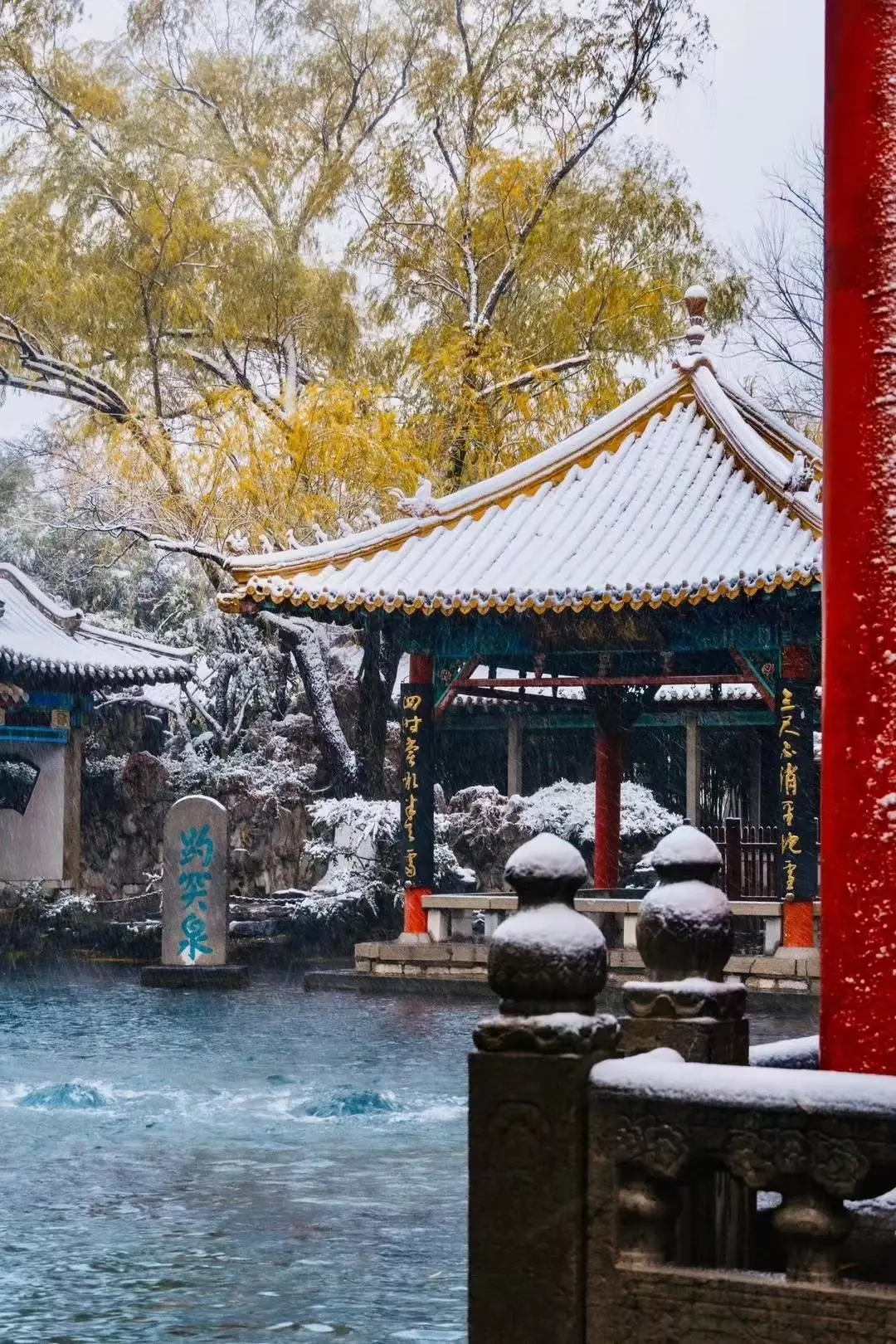 一起去打卡老舍笔下济南的冬天吧‼️