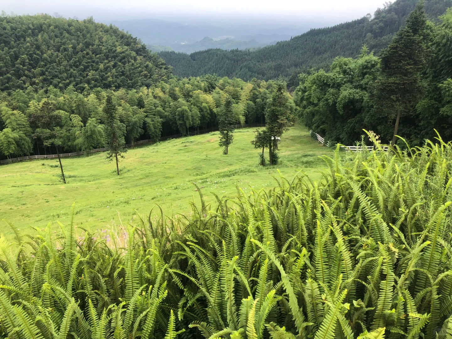 挑战100个成都周边小众旅行地之朴那雅🍃
