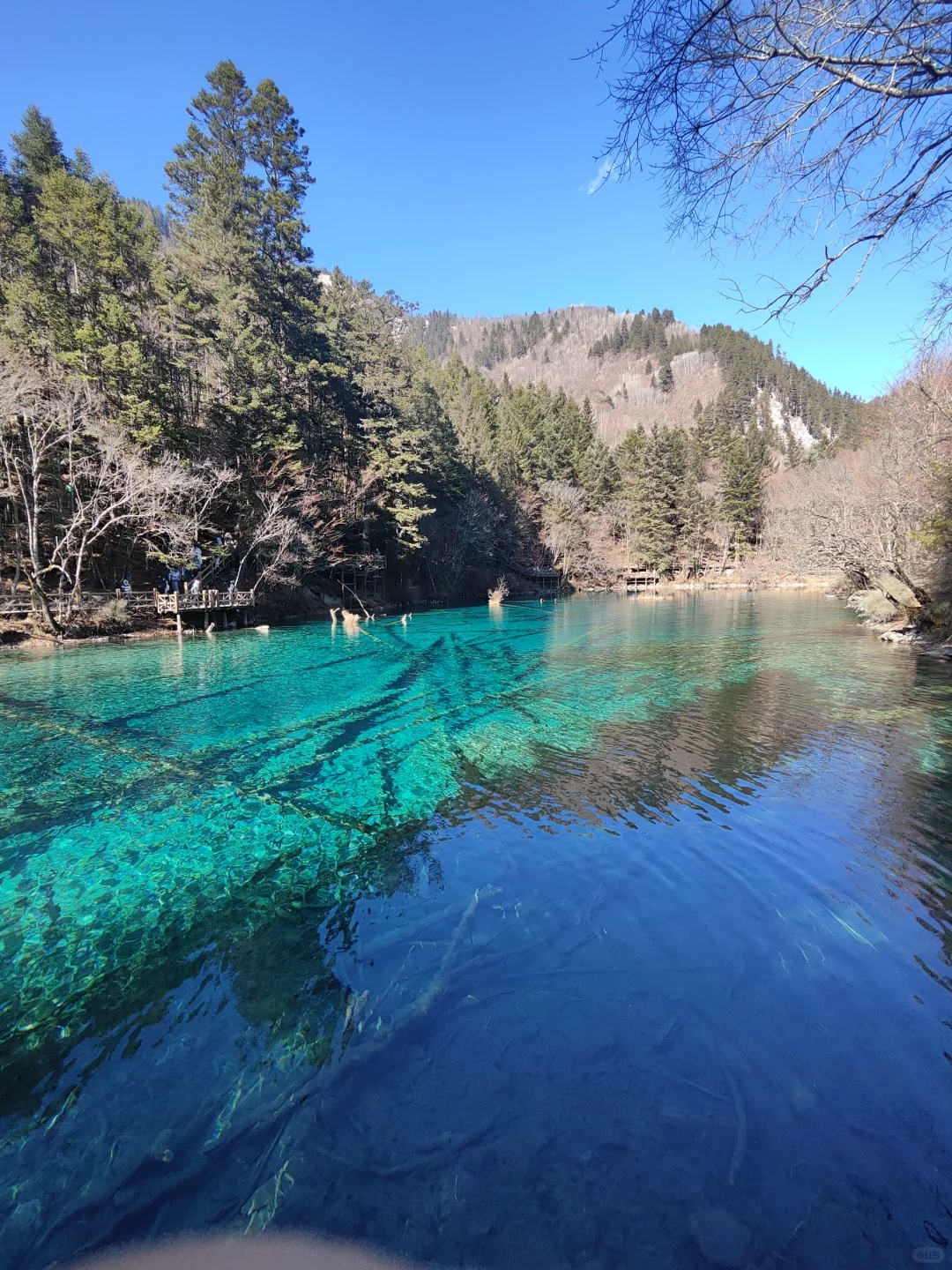 四小时速通九寨沟超详细版