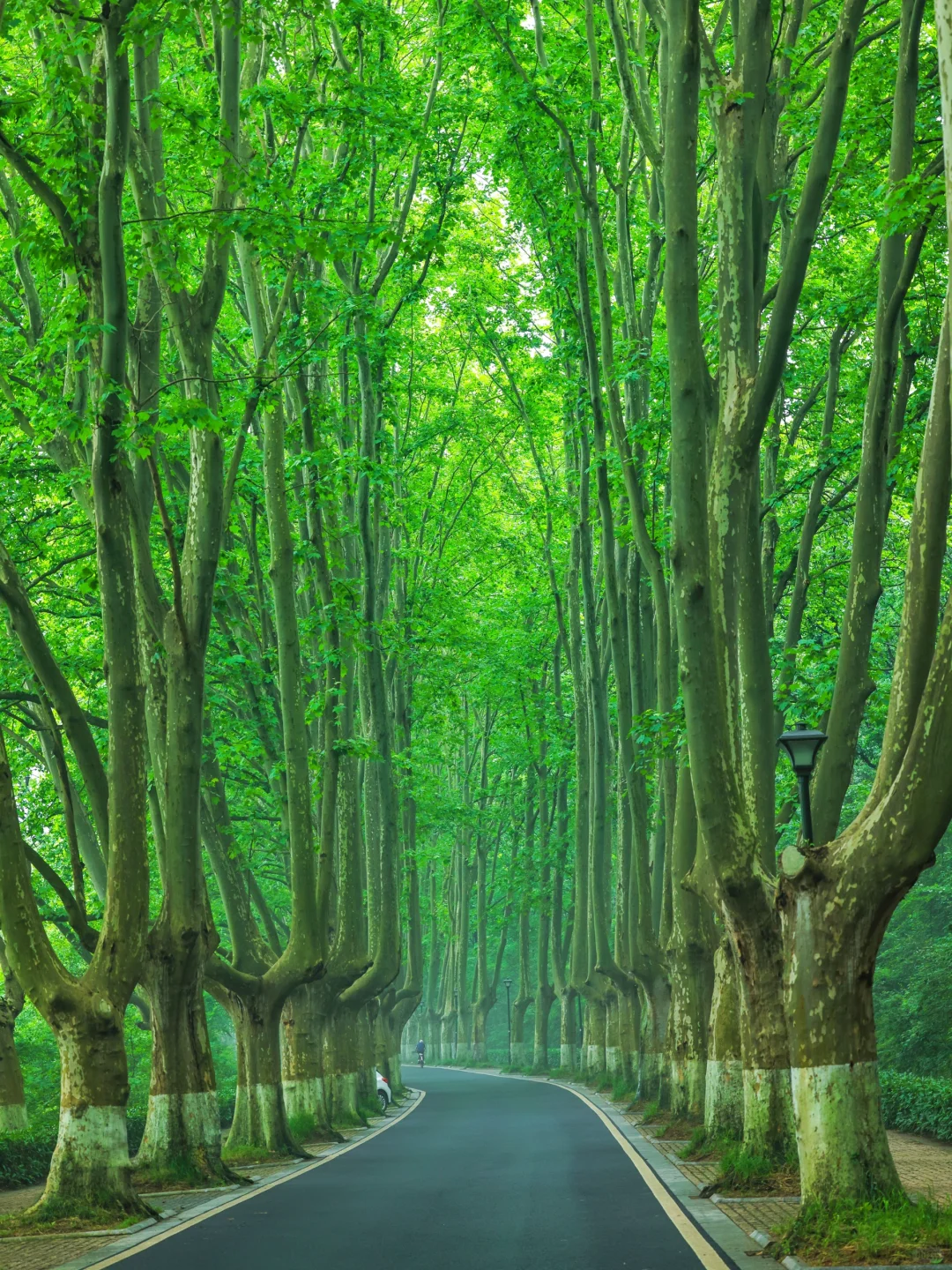 夏天来南京｜推荐你去这10个景点