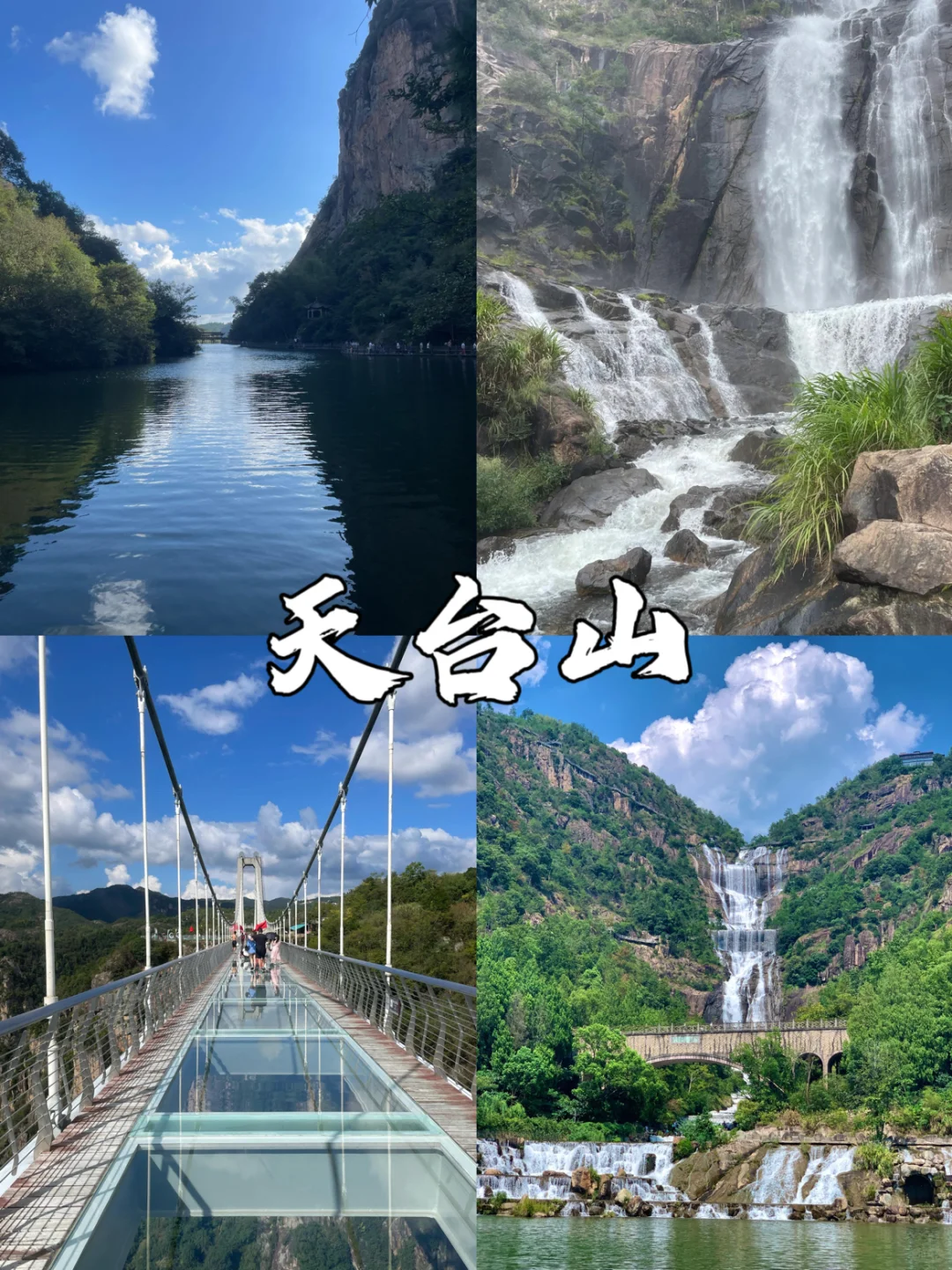 台州真的让人太痛了😭!