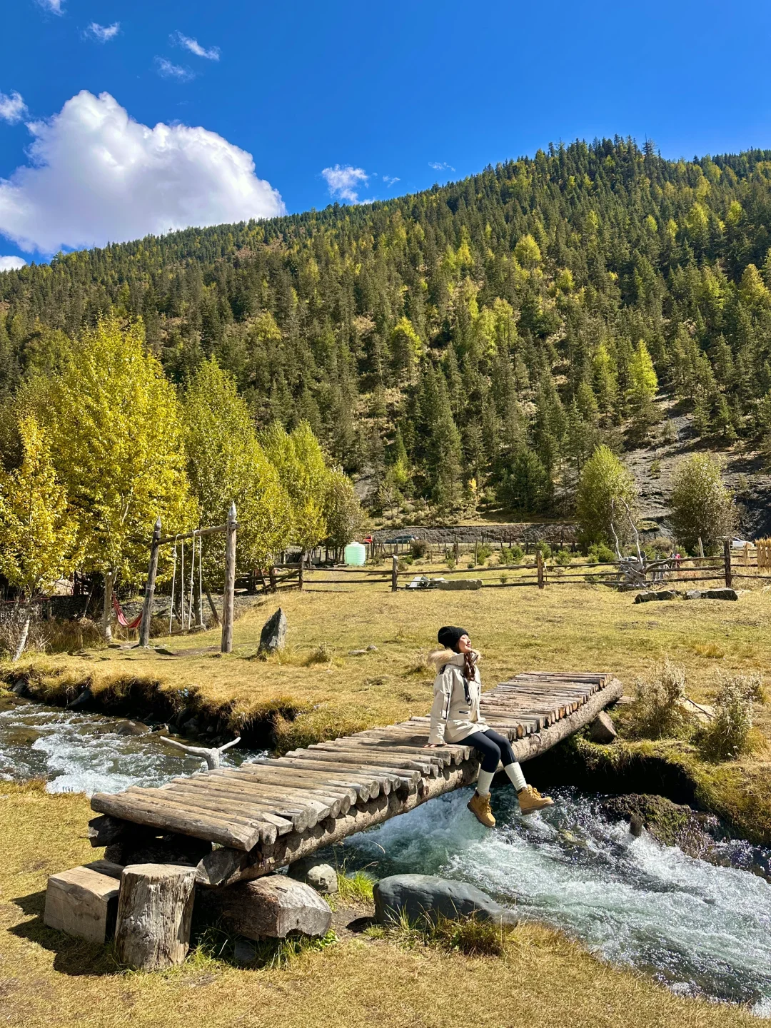 2024年度旅行结算｜live图的意义！