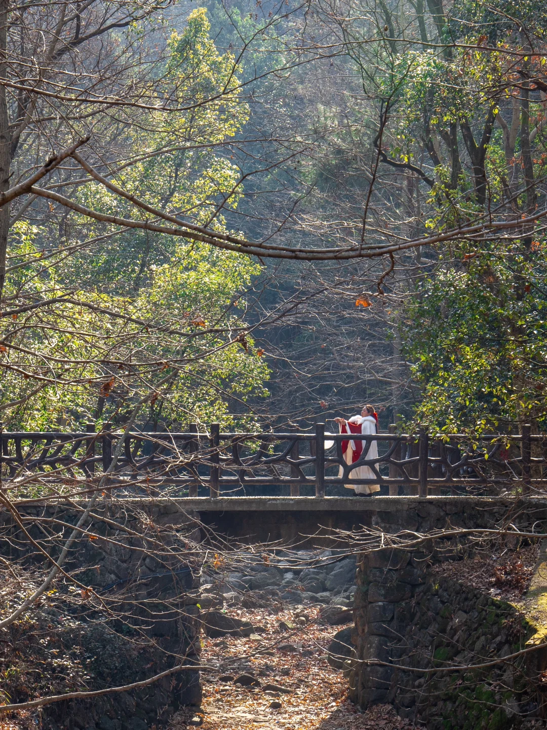 桐庐live到了梦幻仙境❗️