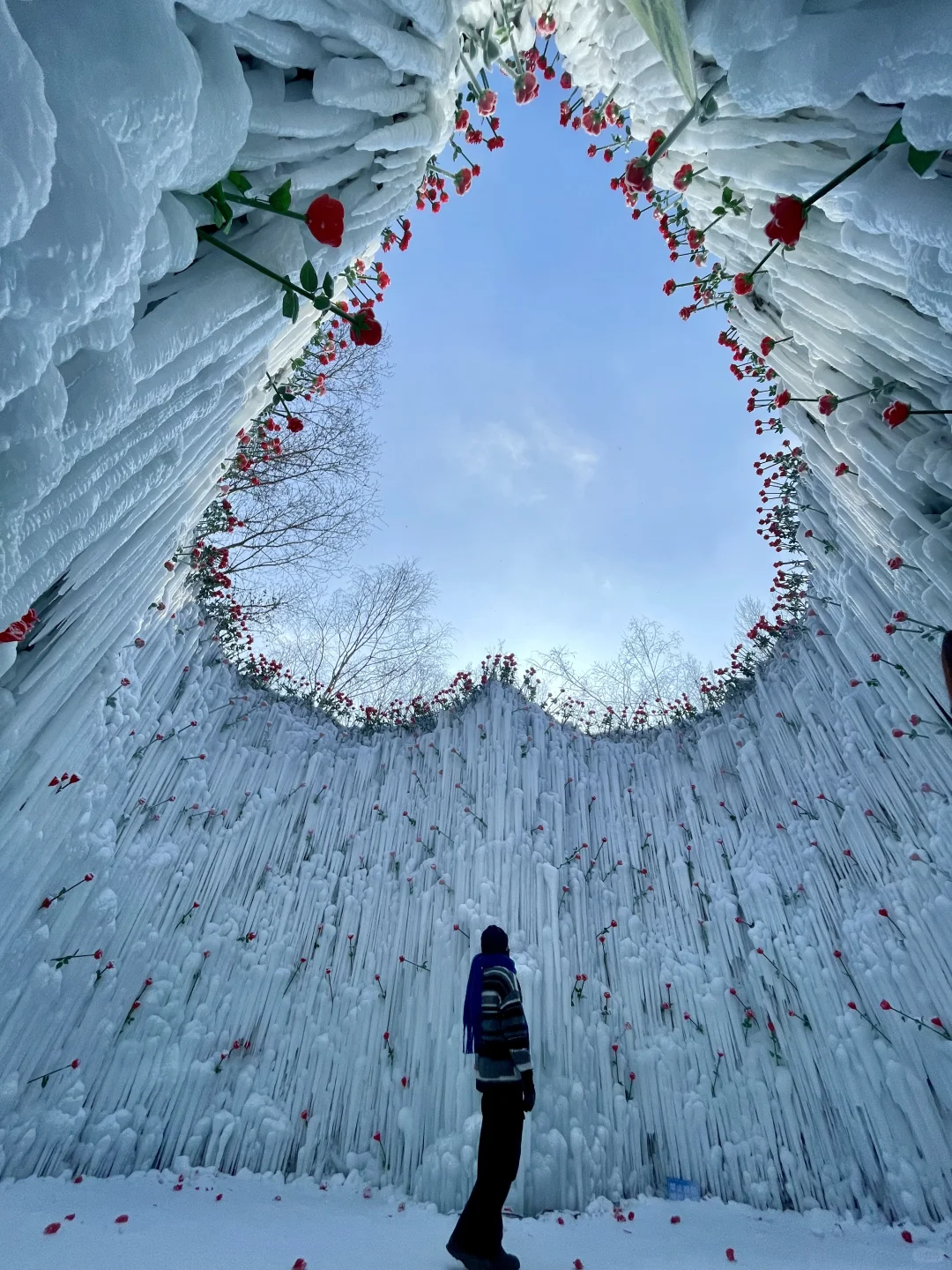 Live图的意义❄️感受长春的绝美冬天