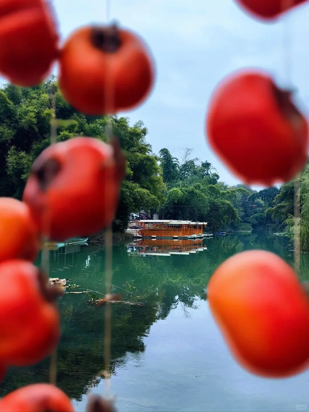 超详细的桂林景点攻略来了🌹