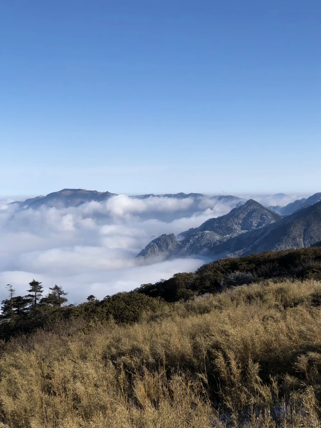 听劝去了神农架 美到失语❗️❗️❗️