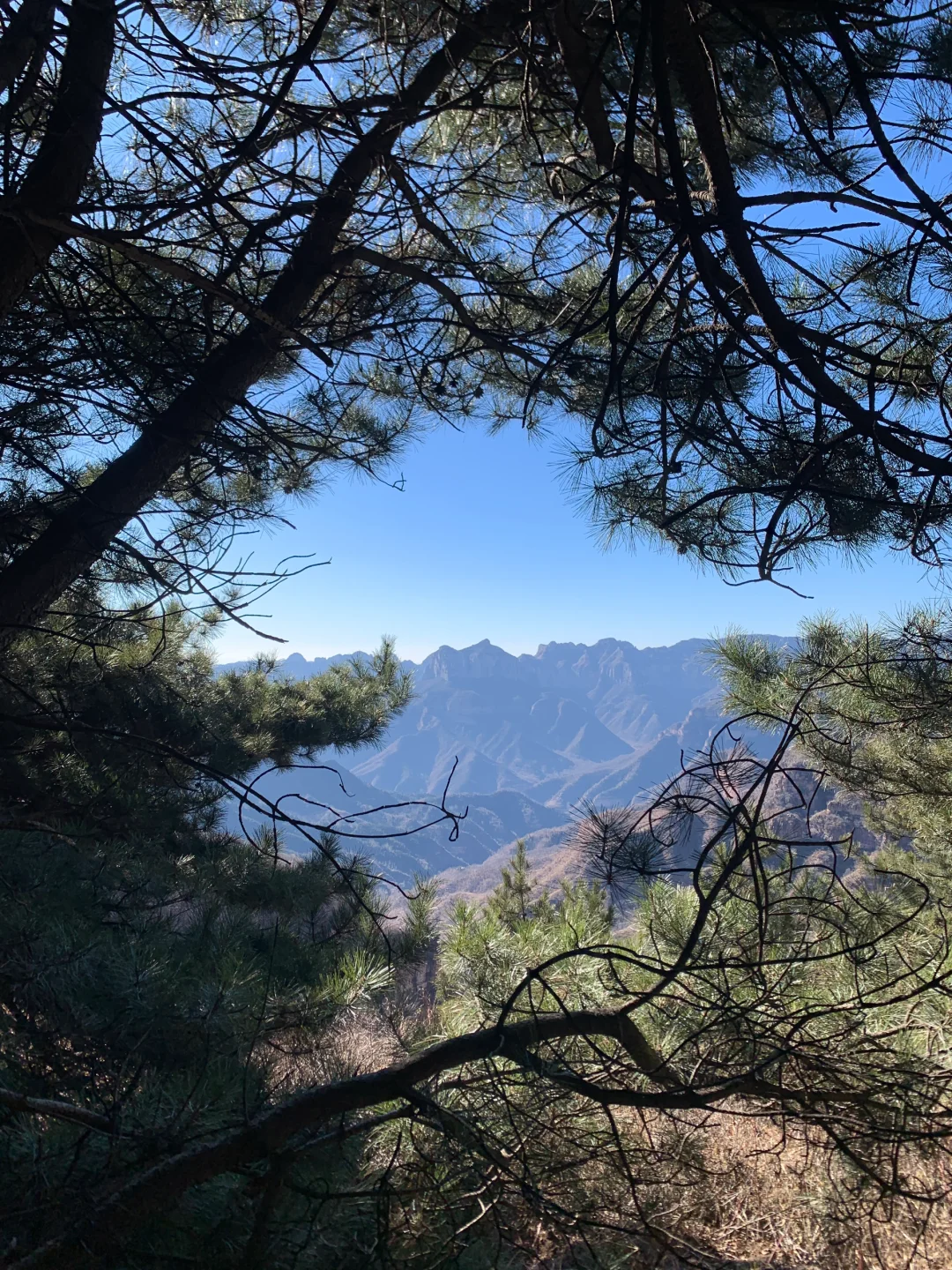 就在邯郸武安 ——周末还有一公里🚀🚀🚀