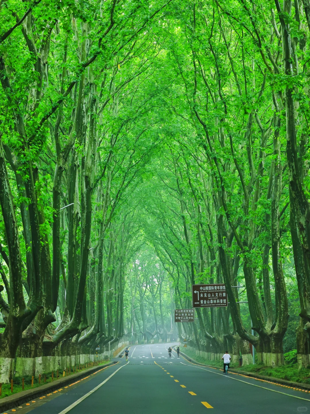 夏天来南京｜推荐你去这10个景点