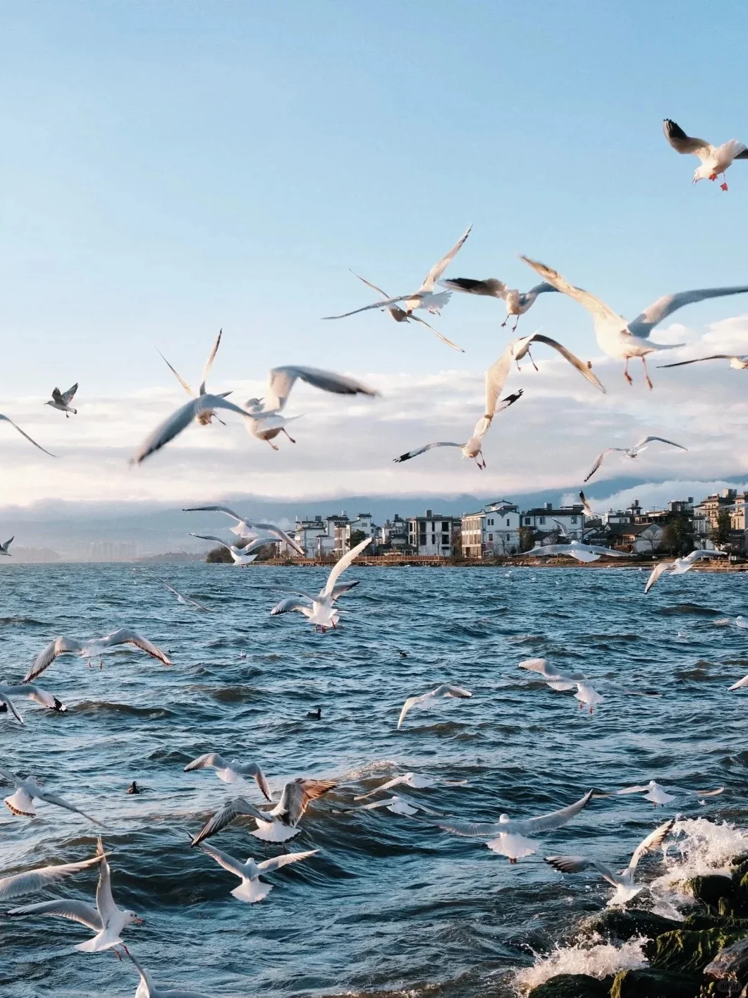 这绝对‼️是你看过最完整的大理游玩攻略📝