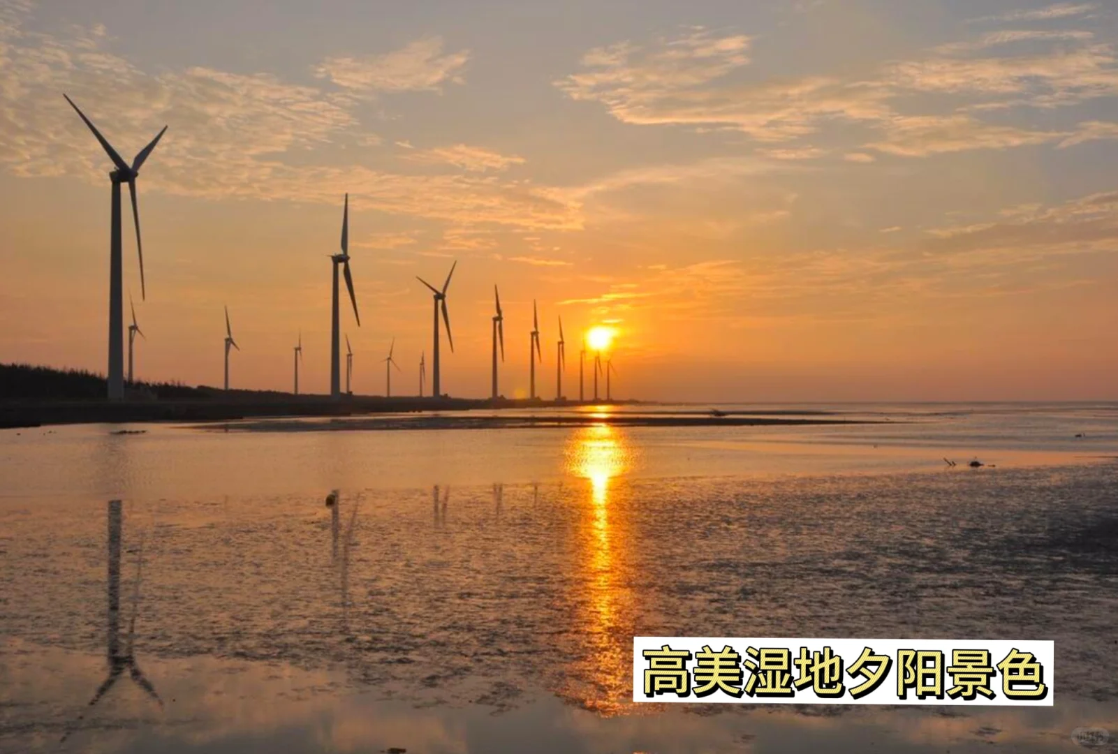 ✈️先出发再说 l 8个台中必游景点🌟建议收藏