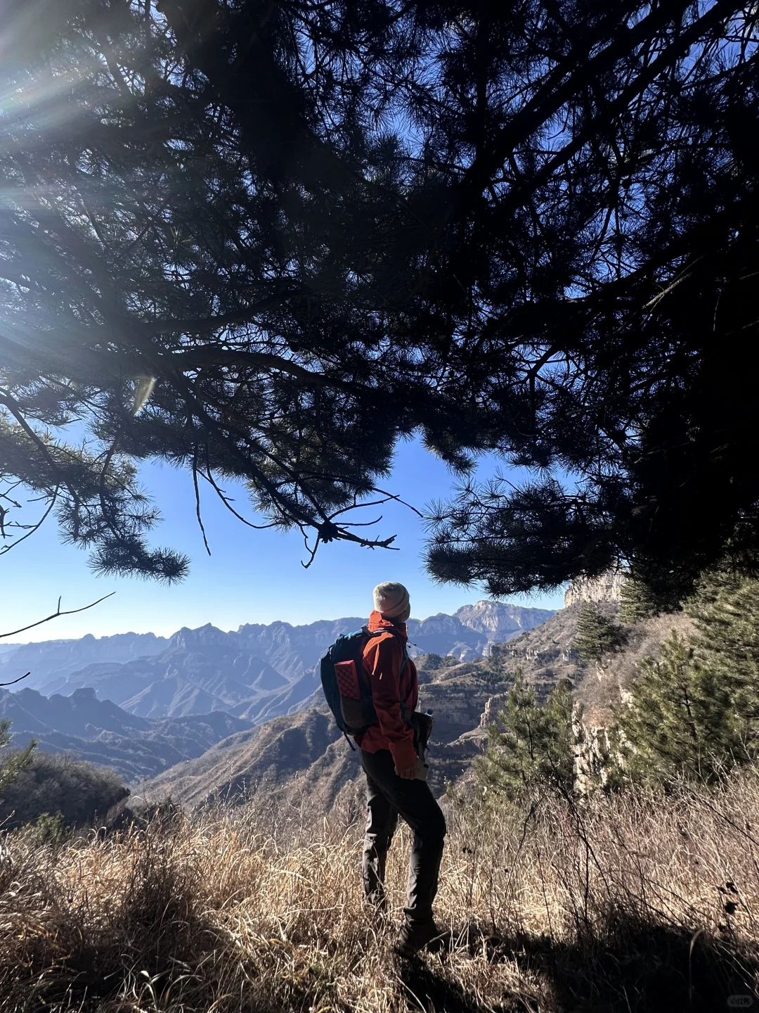 就在邯郸武安 ——周末还有一公里🚀🚀🚀