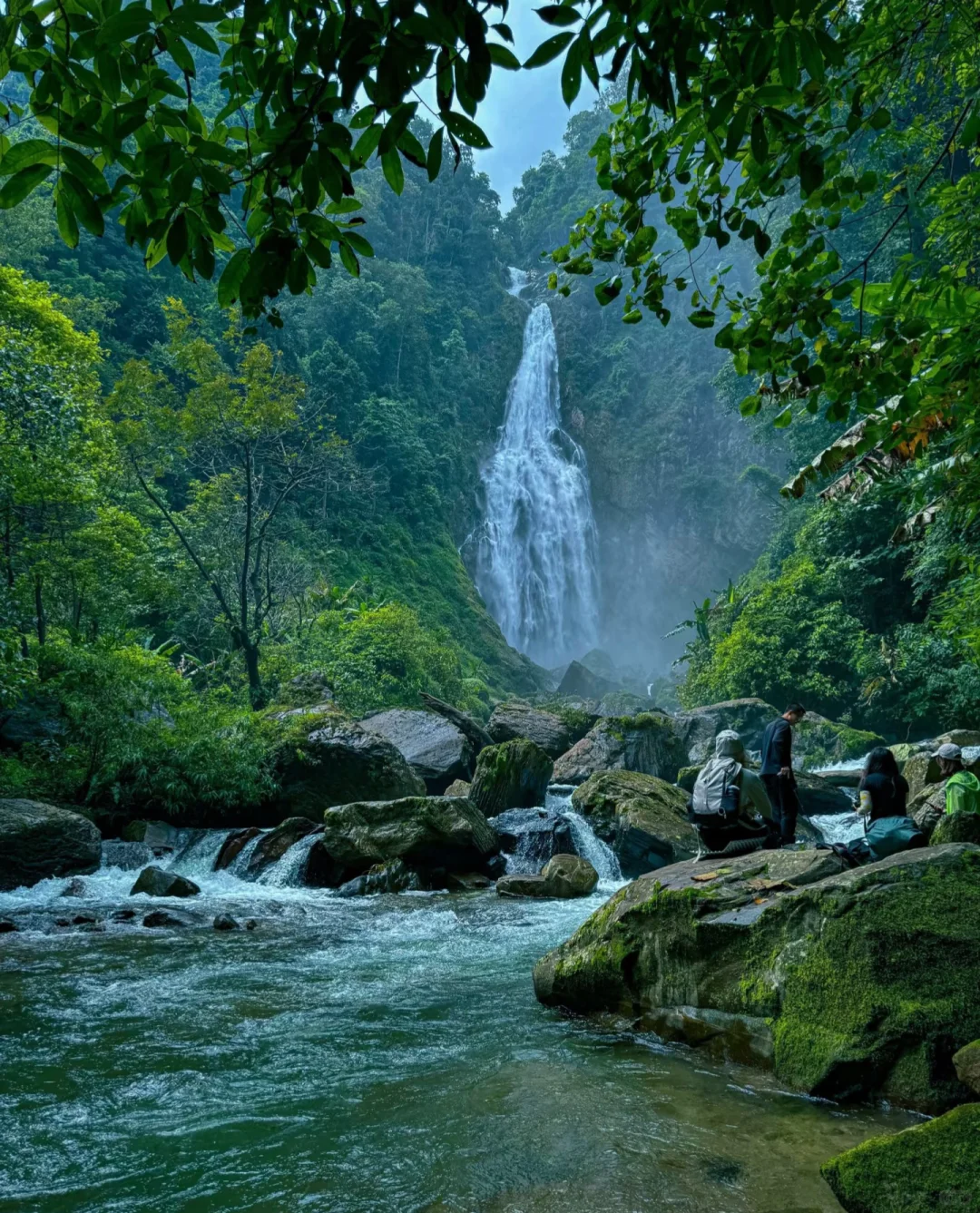 哀牢山—大雾四起 我在无人之处爱你❗️❗️