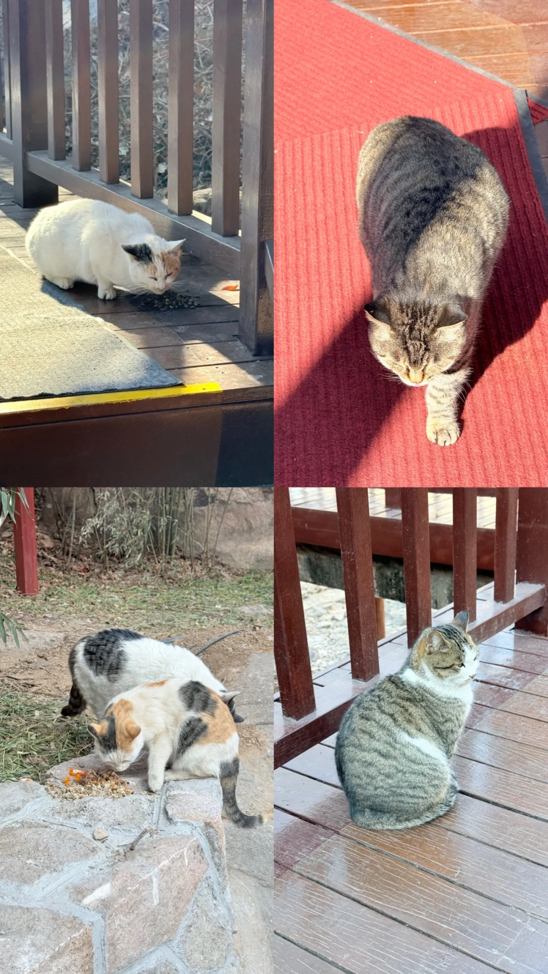 青岛｜崂山北九水之冬赏冰瀑布