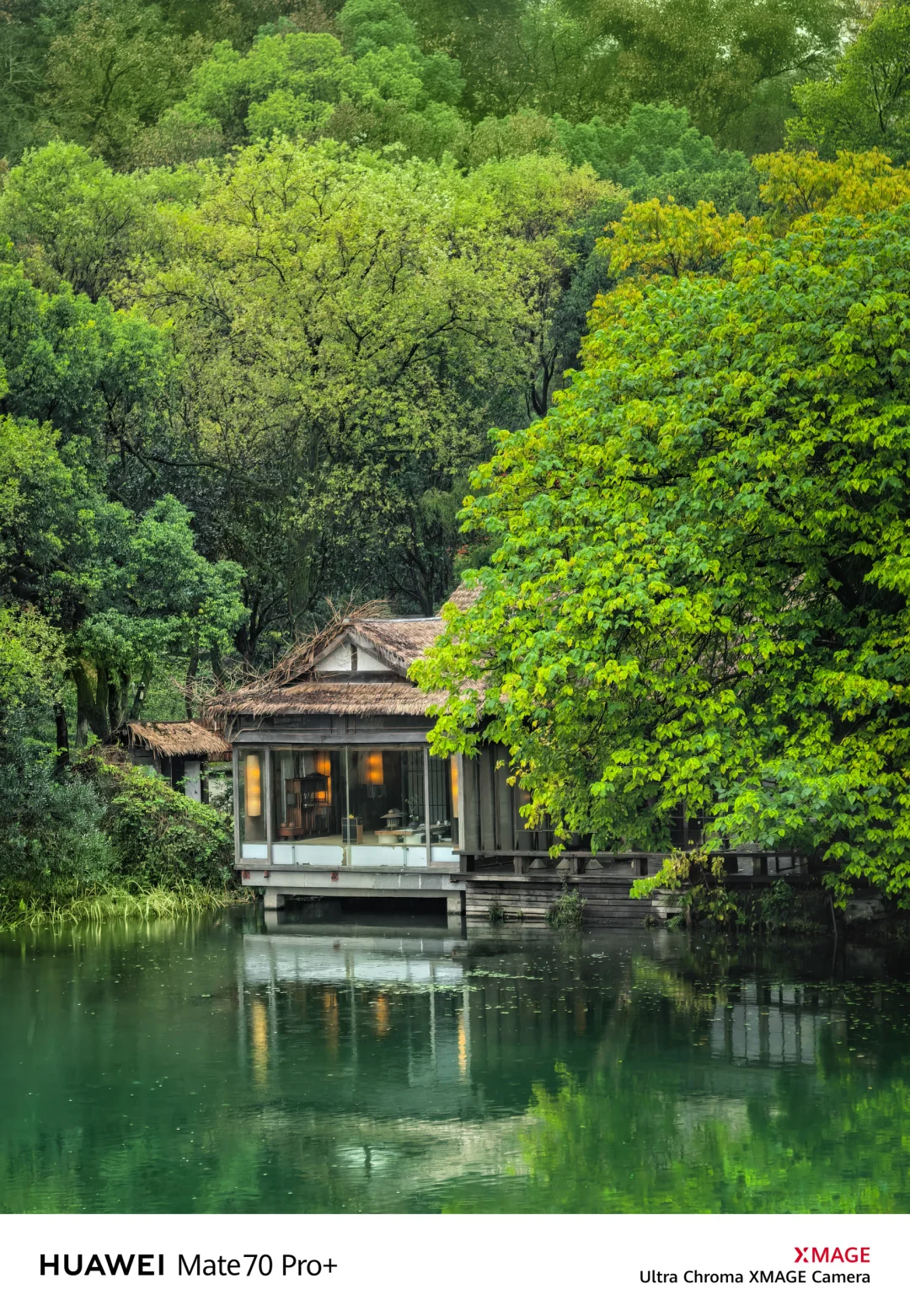 如果你来杭州，我不会让你去西湖‼️