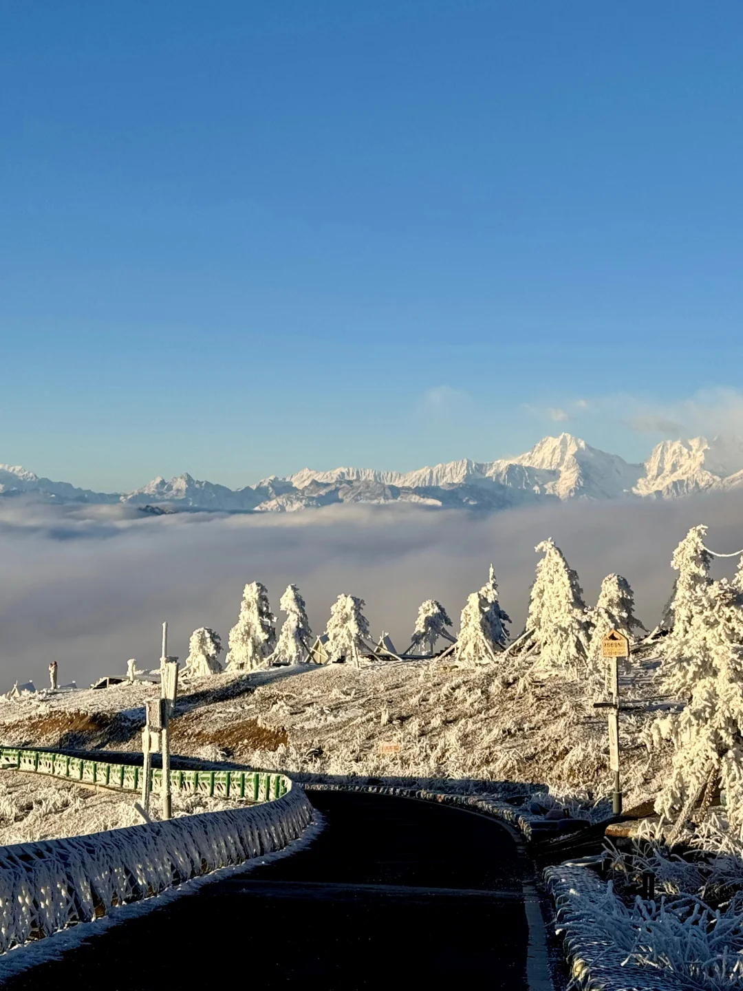 1.16 📍川西已回，live实况直出，劝退不了…