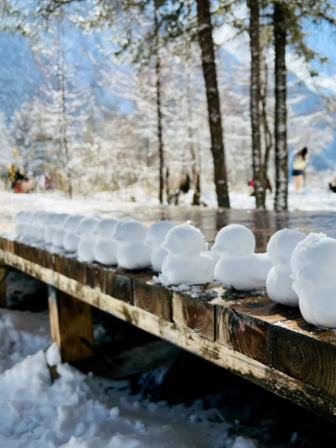 1.16 📍川西已回，live实况直出，劝退不了…