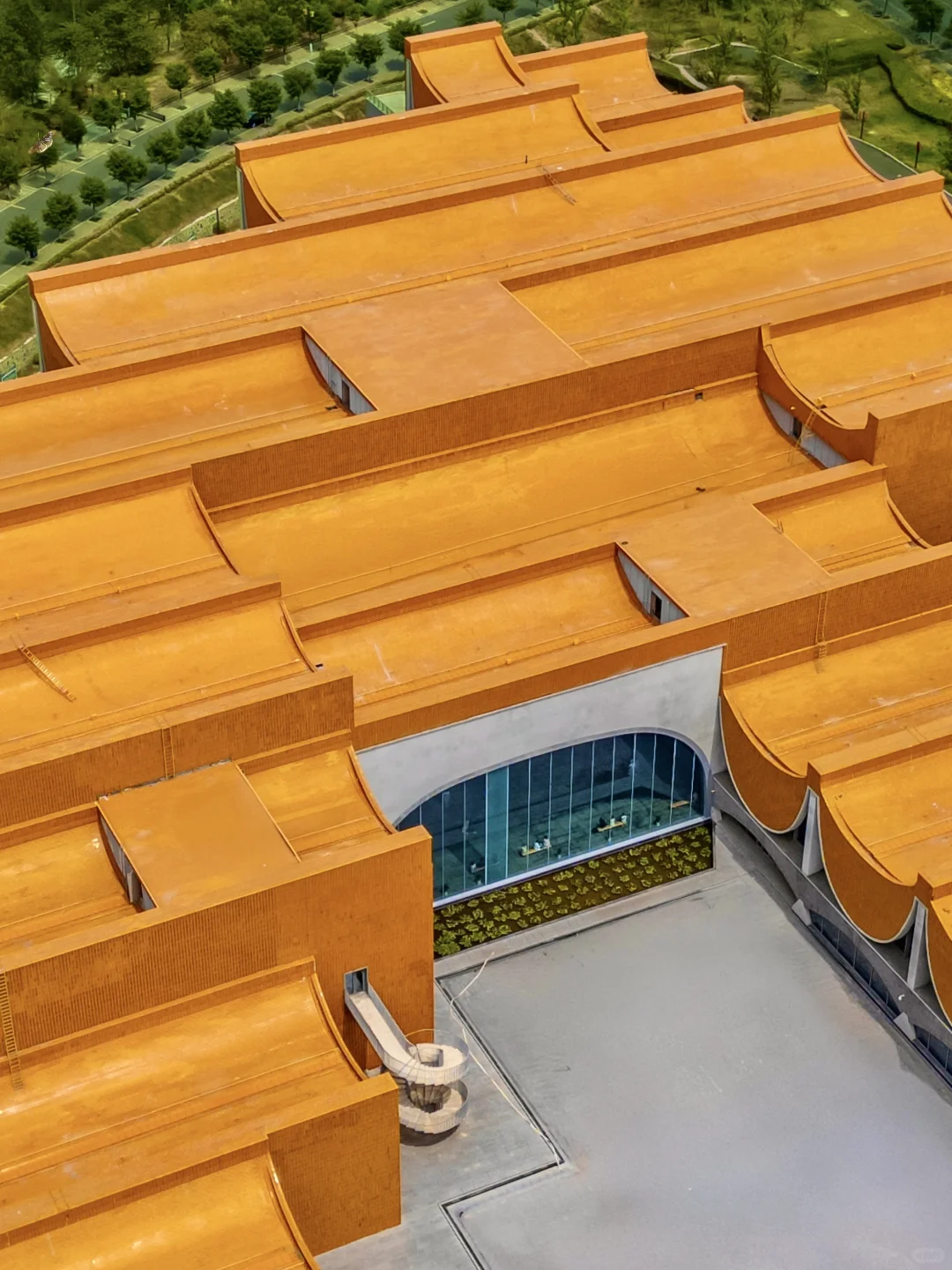 以为西安已经够美了😭直到我去了洛阳