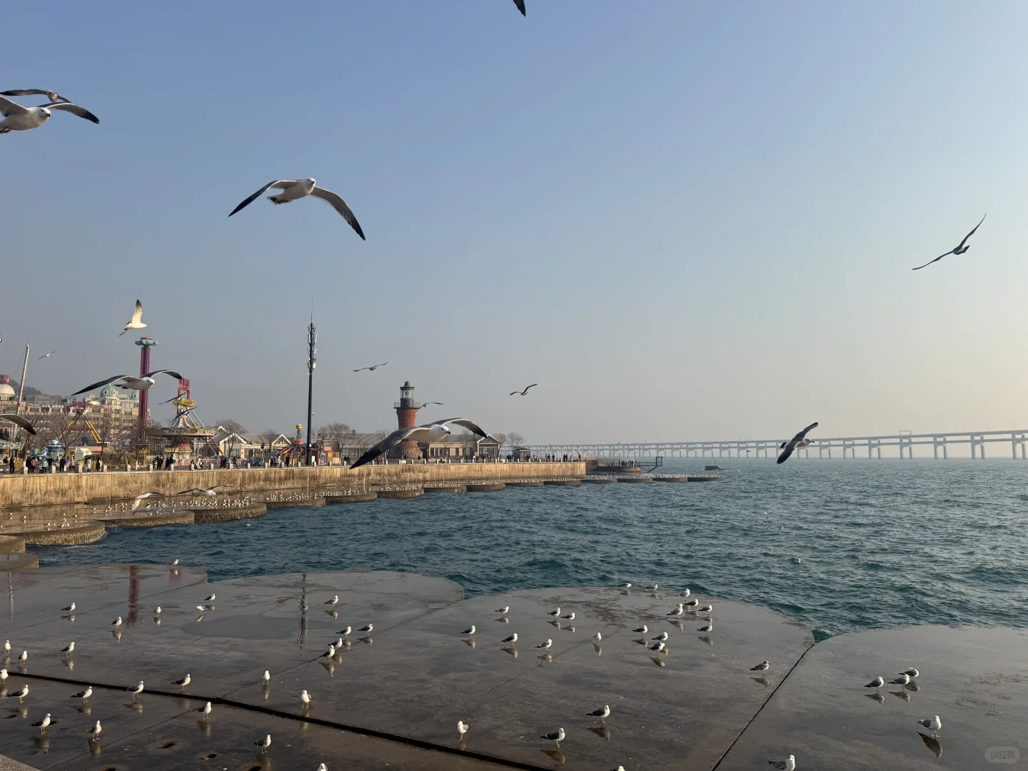 大连｜必去景点？真实的菱角湾