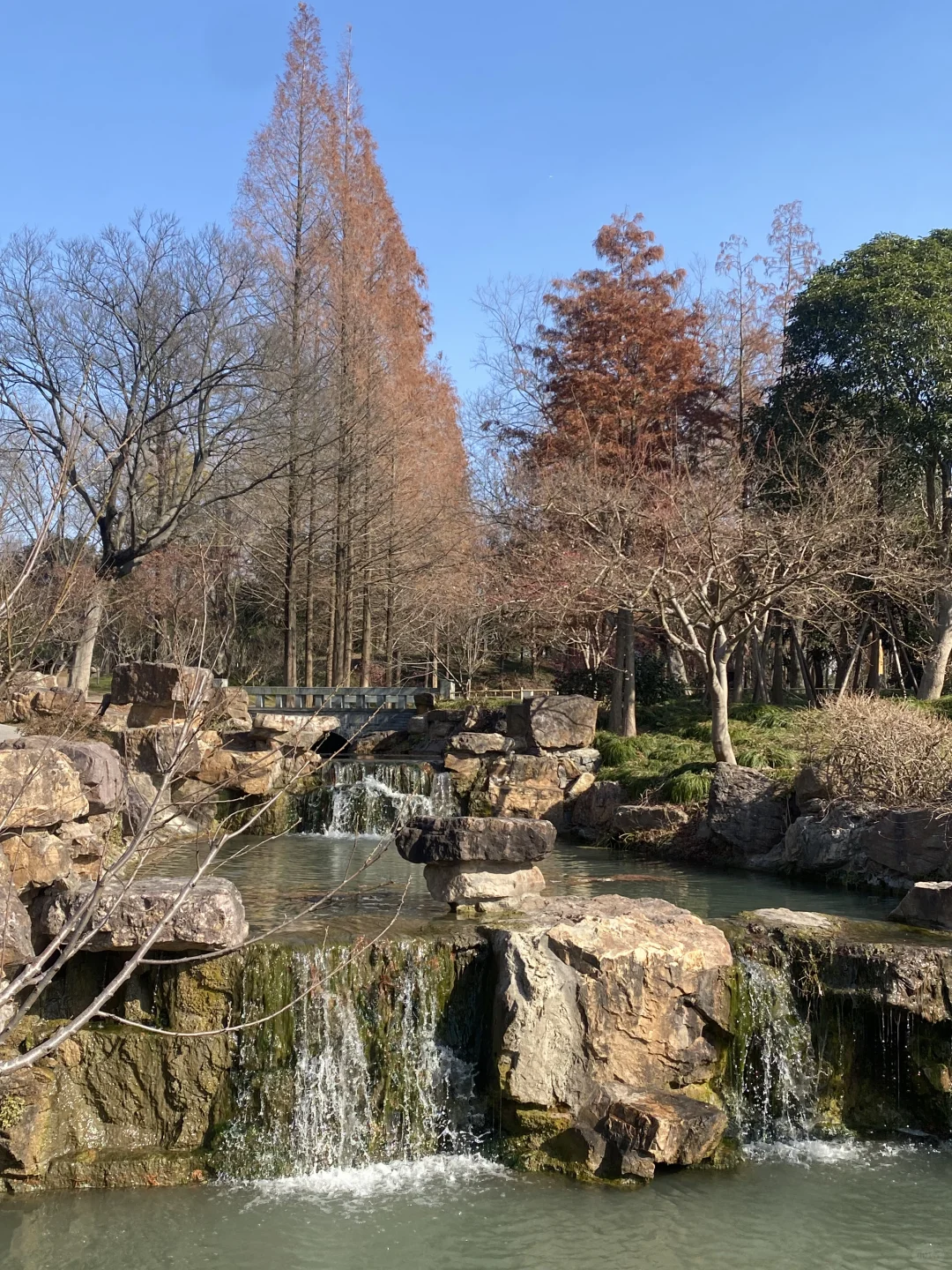 南京大学生0元go扬州