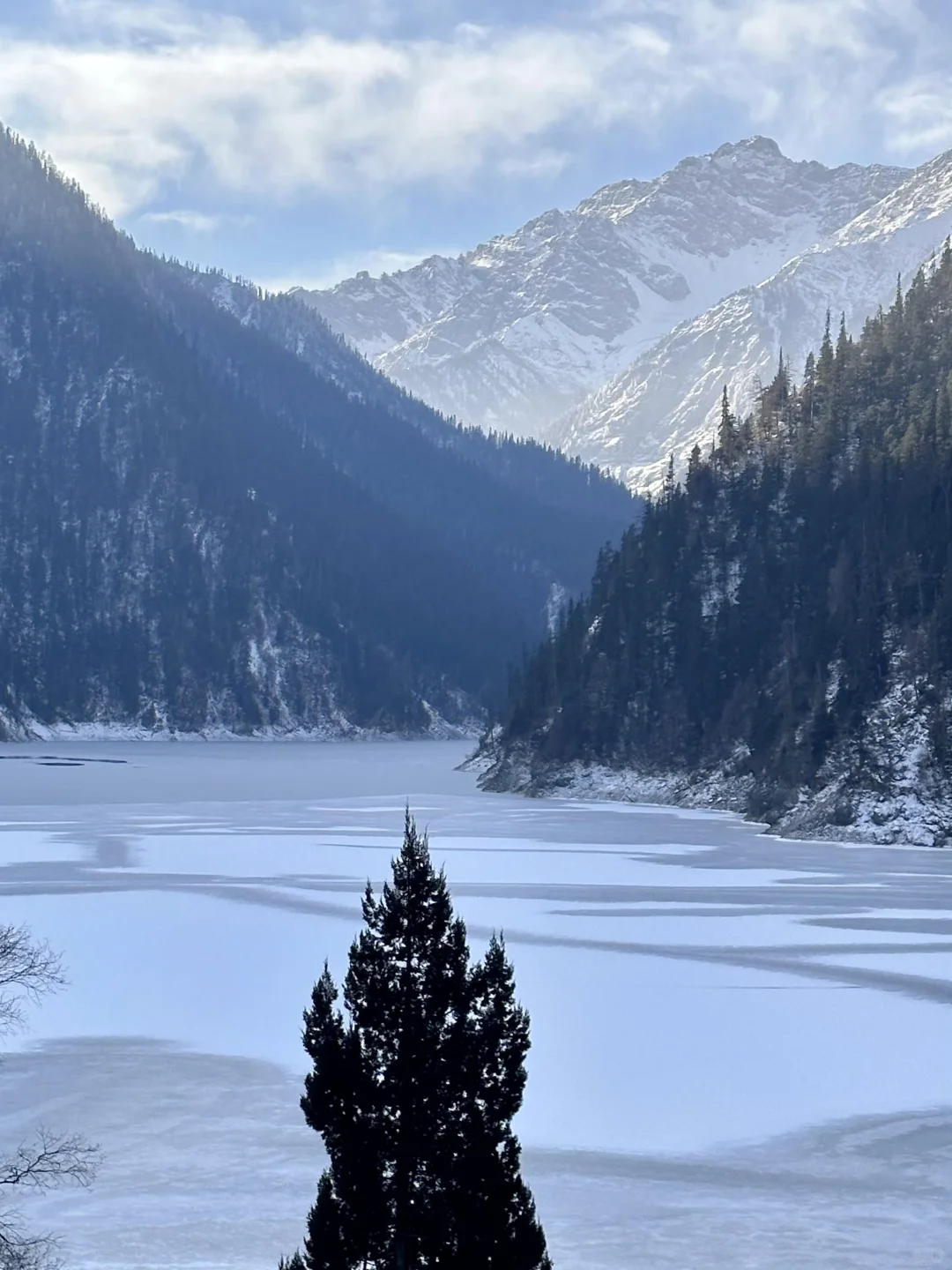 1.16 📍川西已回，live实况直出，劝退不了…