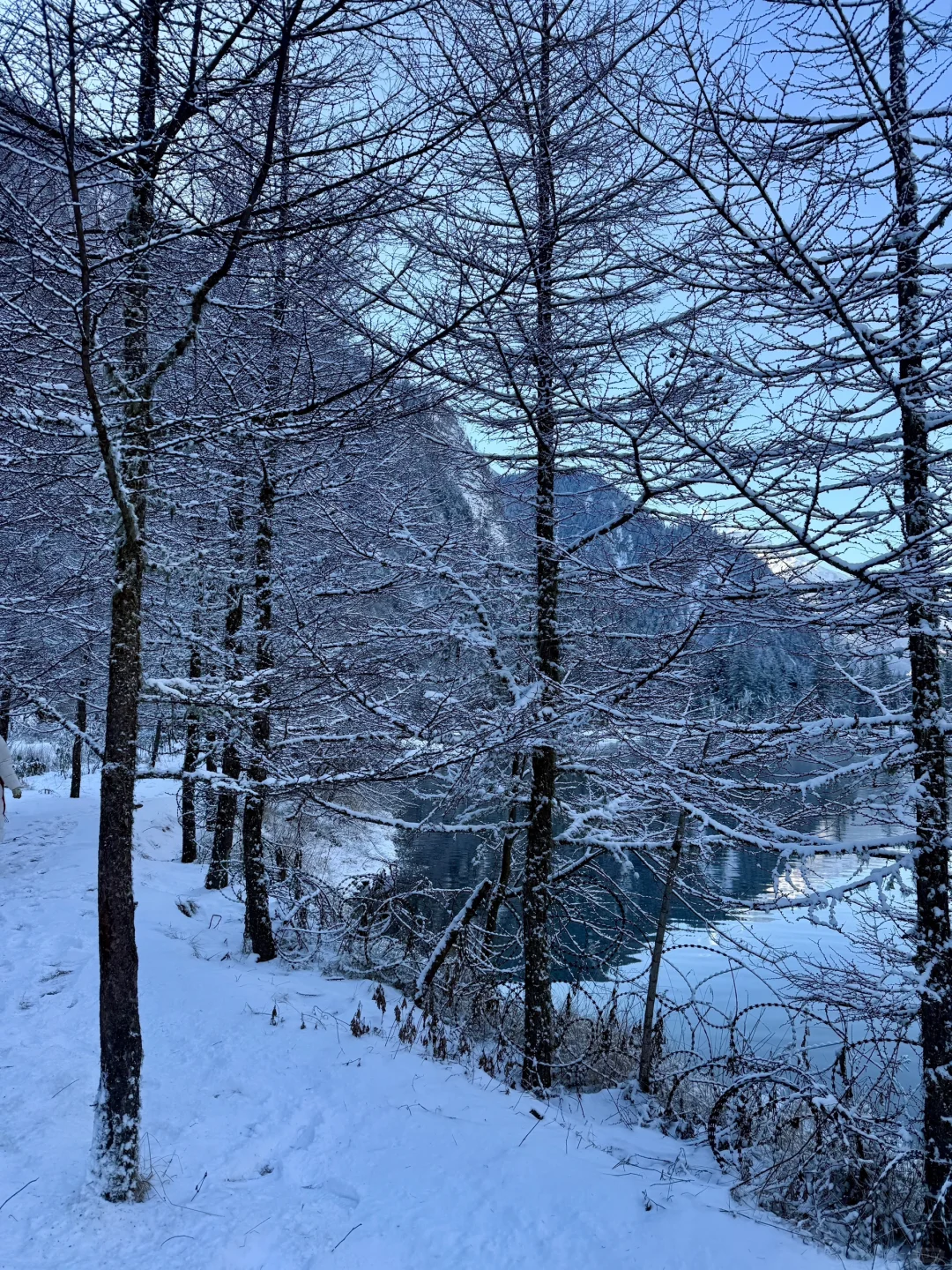 1.6📍毕棚沟live 直出📷要去的姐妹慎重……