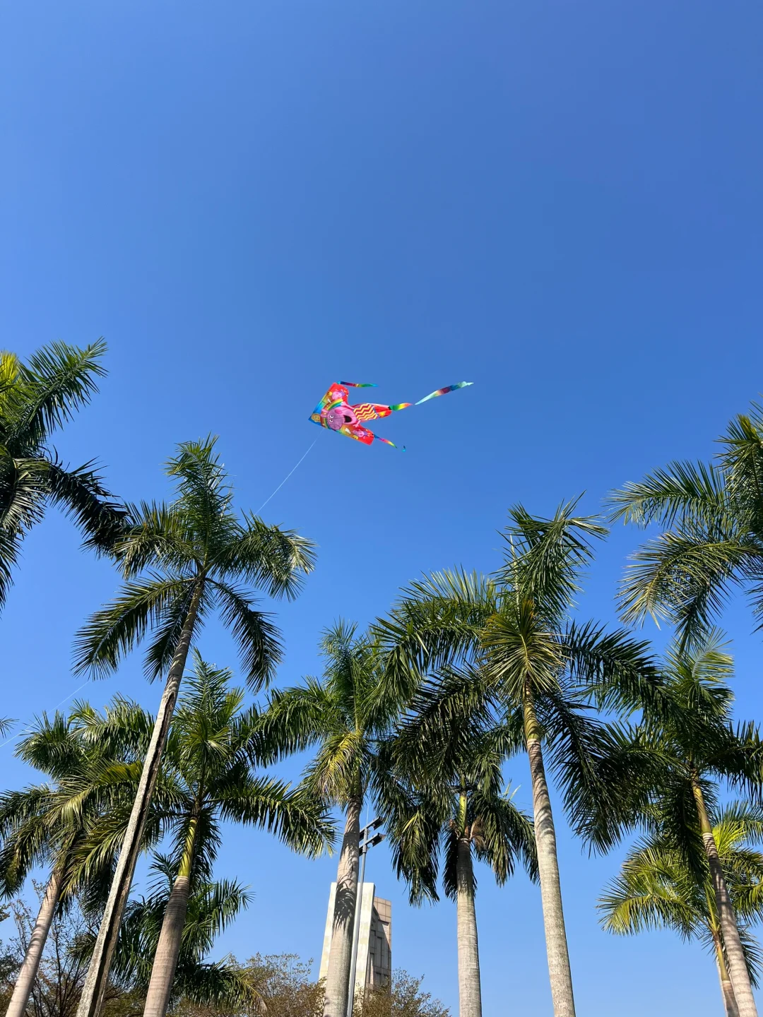 南宁亲子游遛娃地，强烈推荐这里