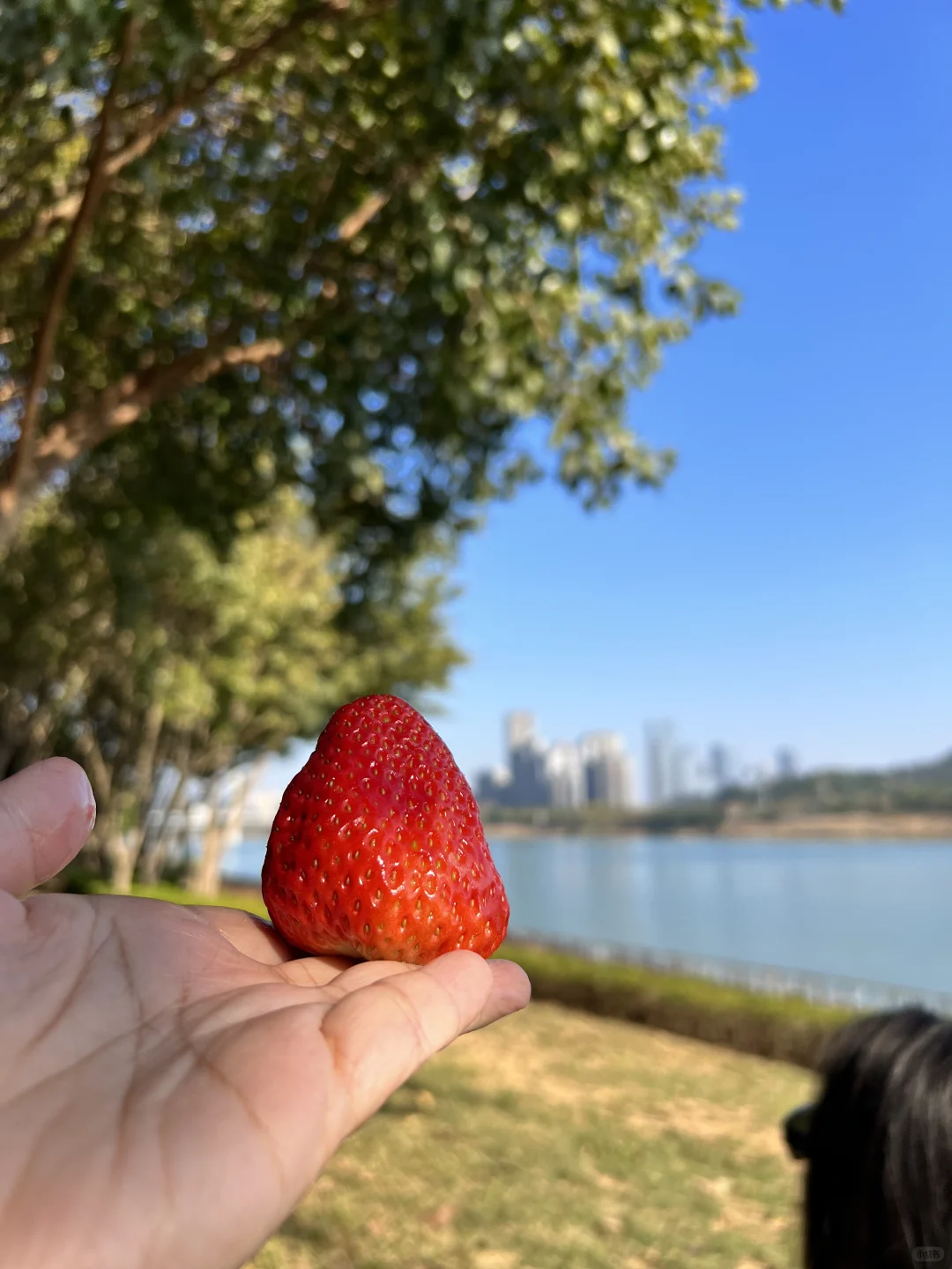 南宁亲子游遛娃地，强烈推荐这里