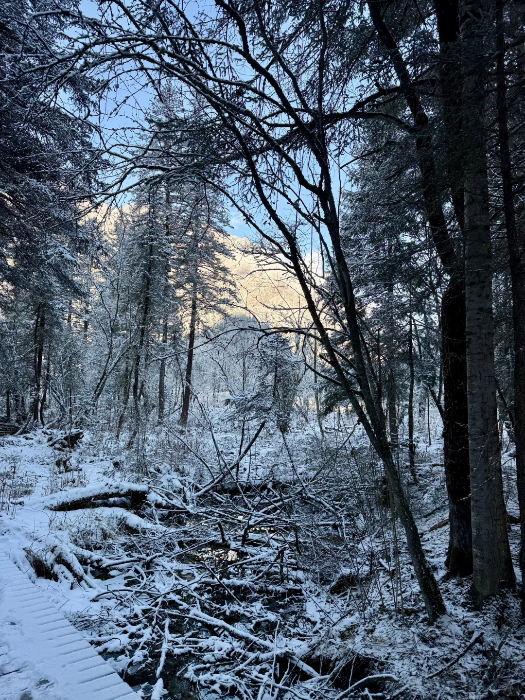 1.6📍毕棚沟live 直出📷要去的姐妹慎重……