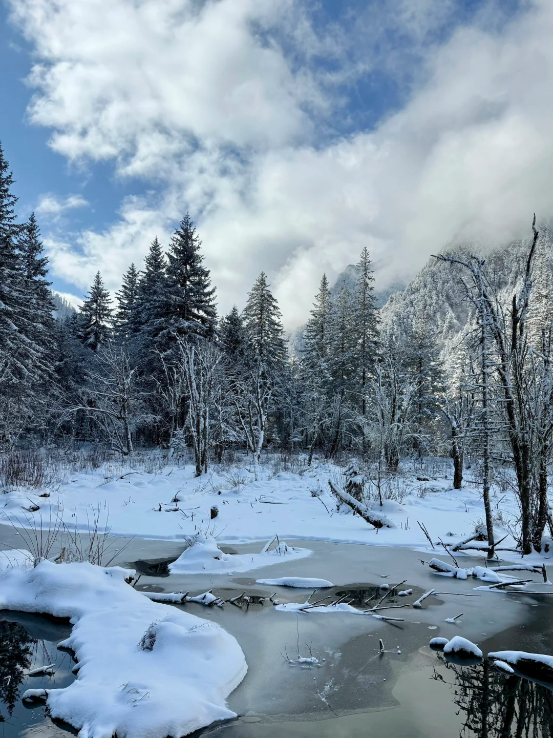 1.16 📍川西已回，live实况直出，劝退不了…