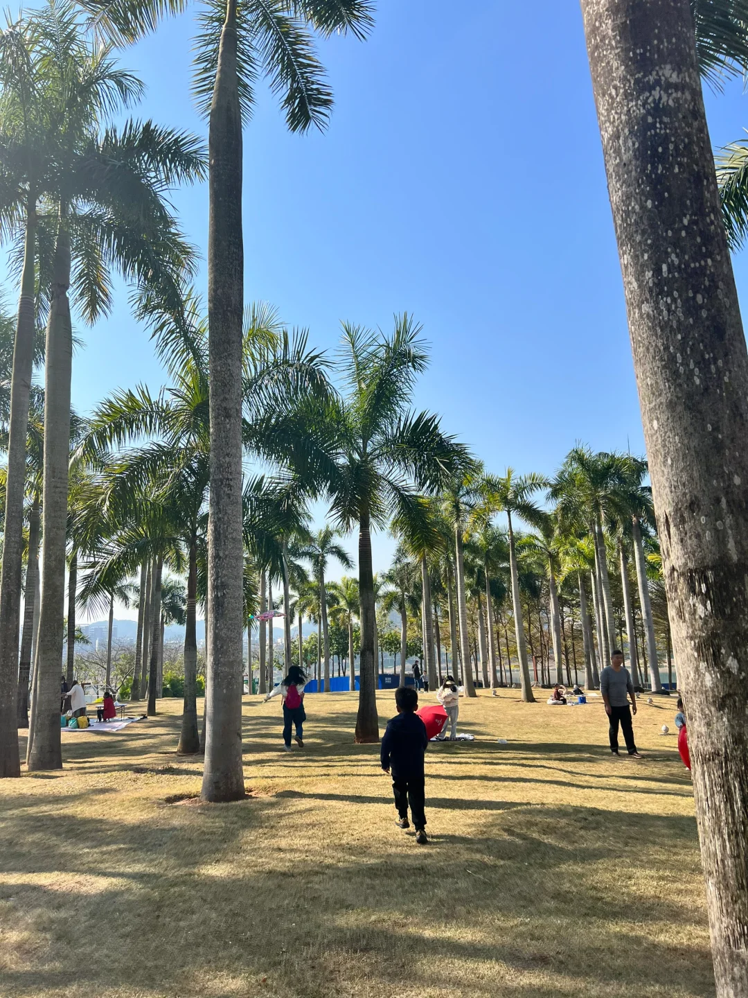 南宁亲子游遛娃地，强烈推荐这里