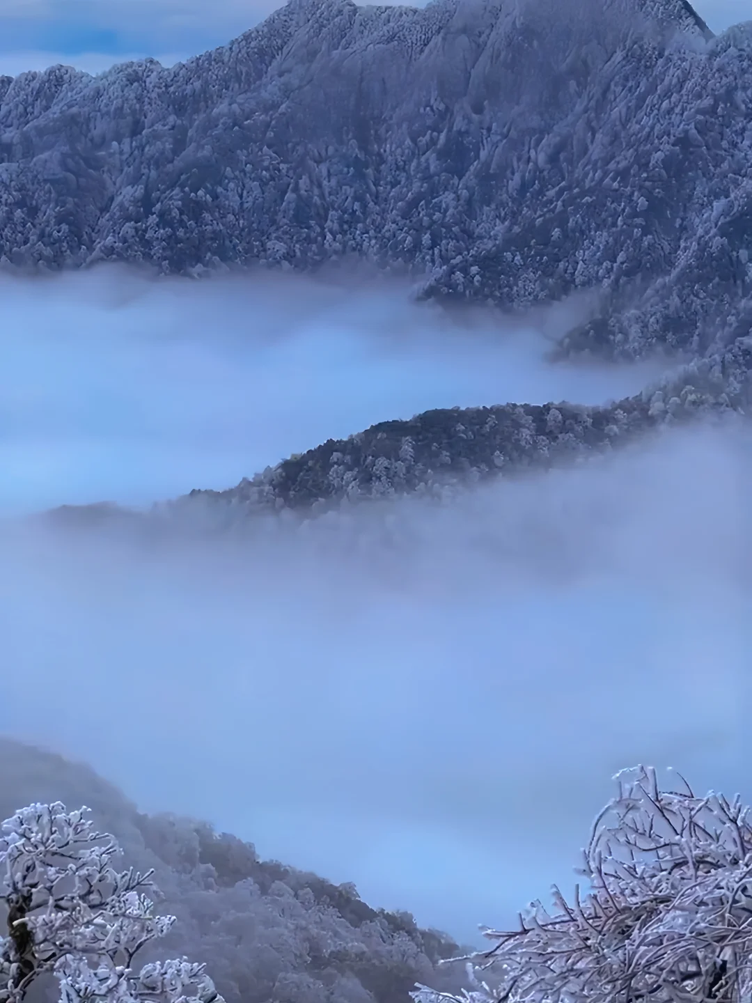 这个冬天 ❤️当然要去梵净山看看雪啦