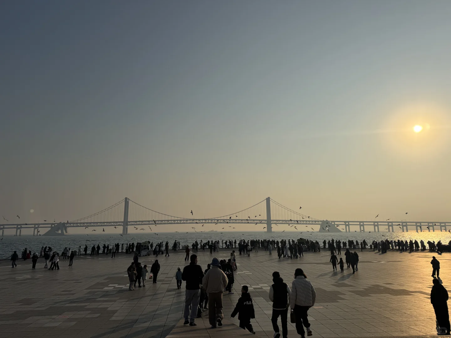 大连｜必去景点？真实的菱角湾