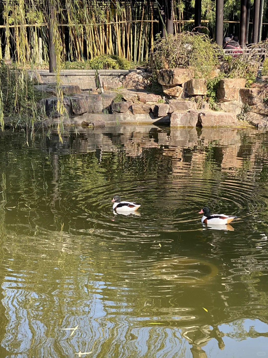 南京大学生0元go扬州