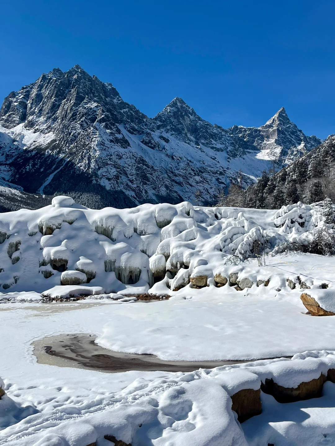 1.16 📍川西已回，live实况直出，劝退不了…