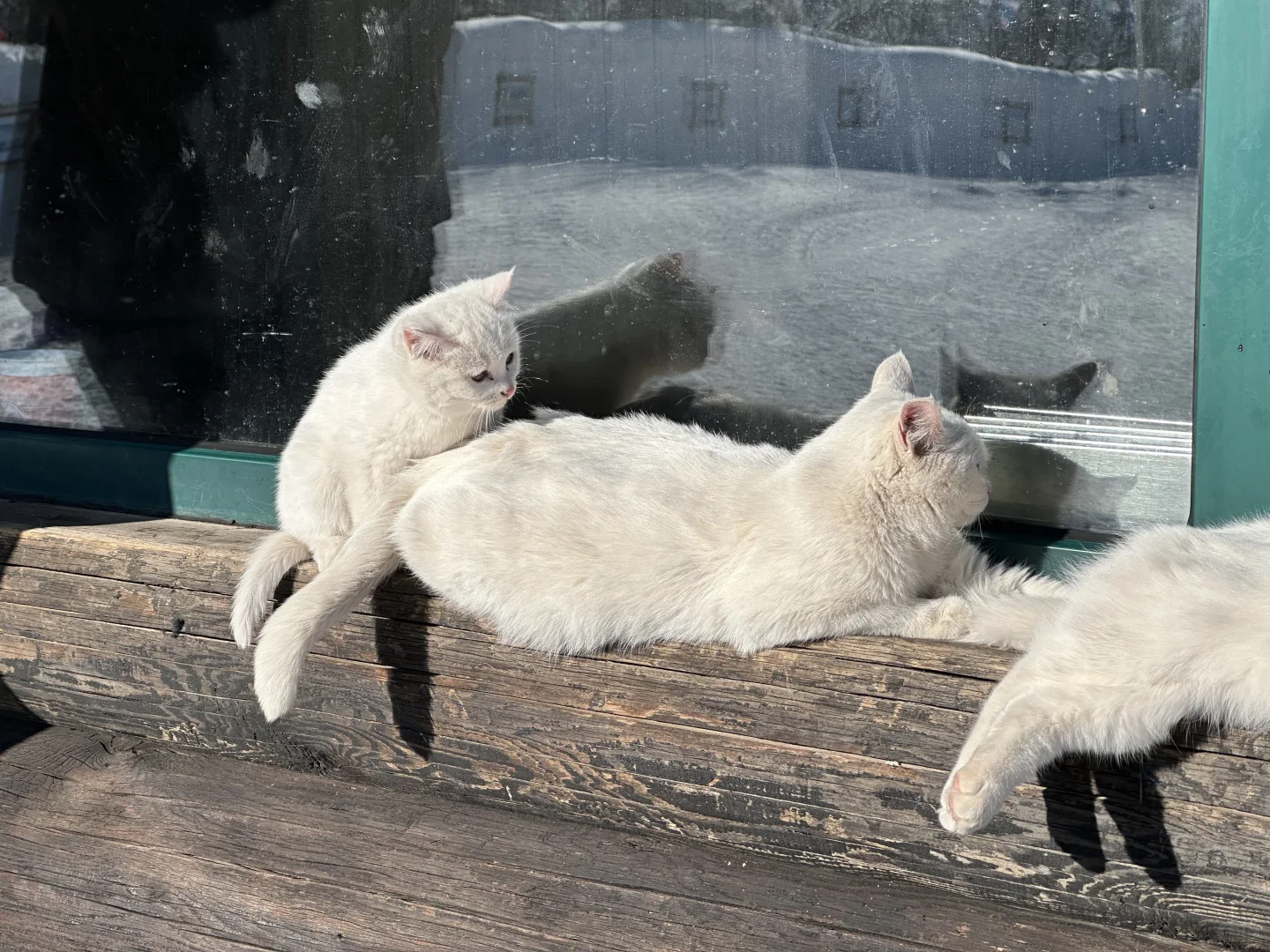 1.18被天池选中的一天