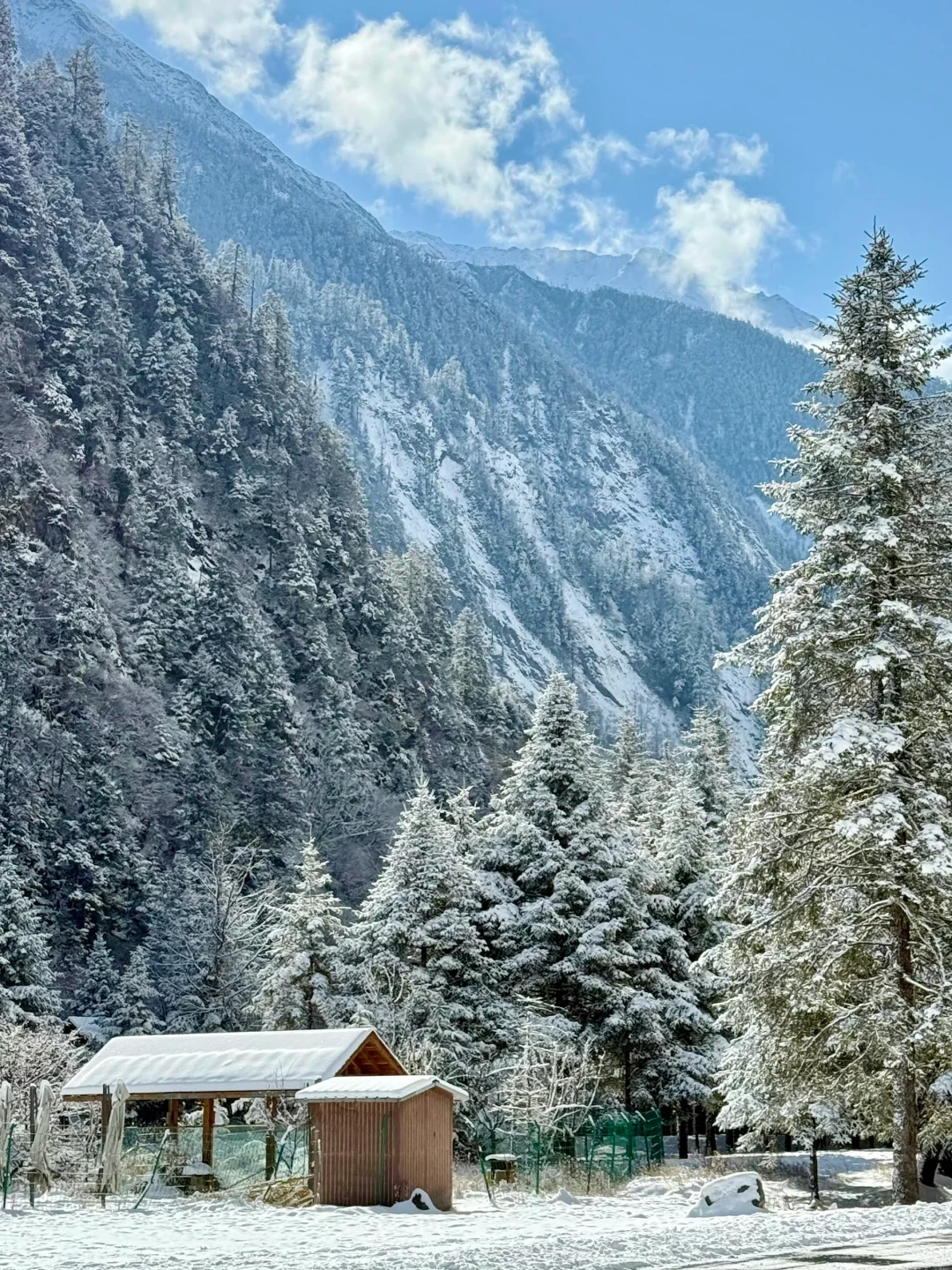 1.16 📍川西已回，live实况直出，劝退不了…