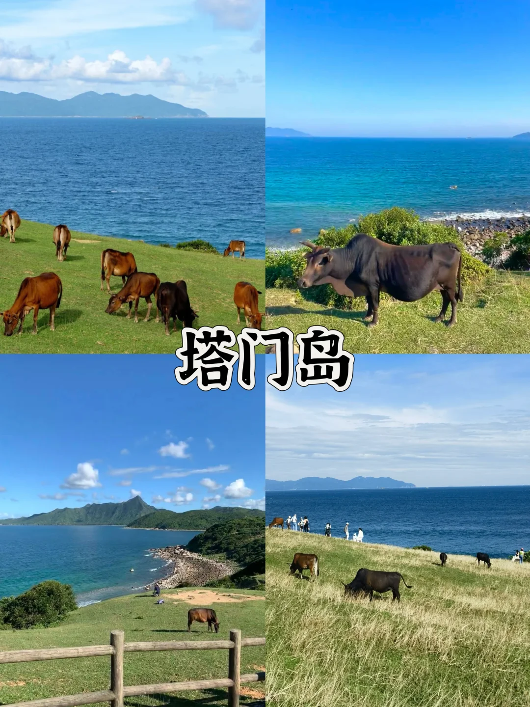 香港本地人必去的十大景点🔥