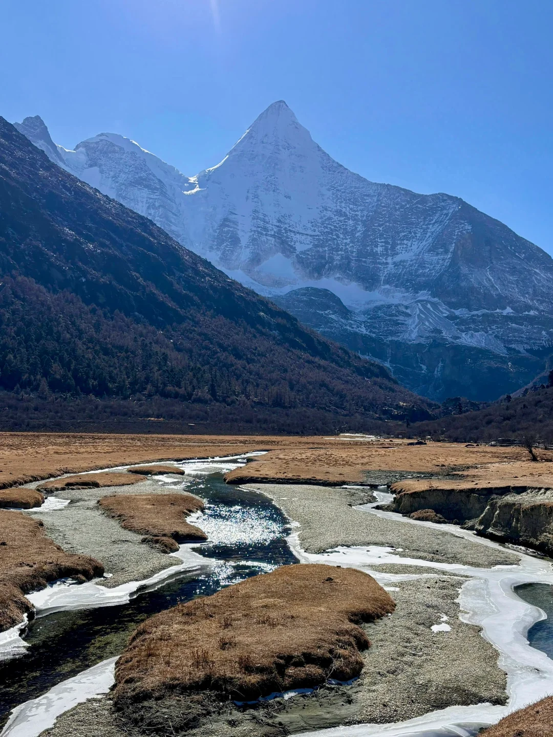 1.16 📍川西已回，live实况直出，劝退不了…