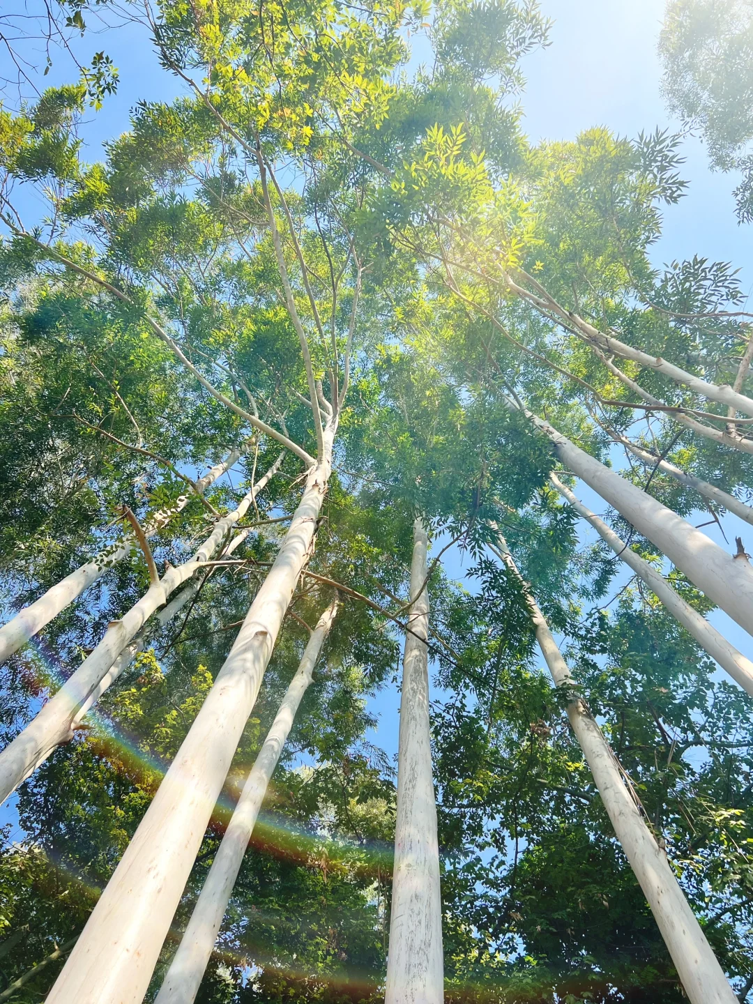 南宁亲子游遛娃地，强烈推荐这里